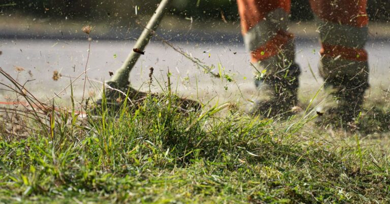 corte de grama em Santo André
